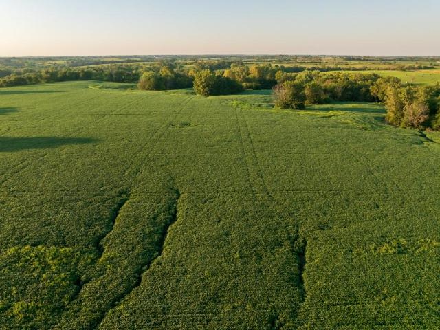 Farm for sale in Mercer, Missouri