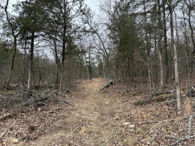 Land for sale in Ark