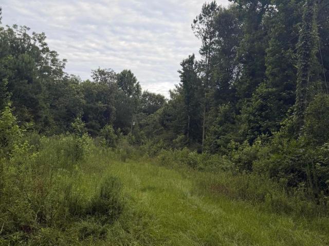 Land for sale in Mccomb, Mississippi