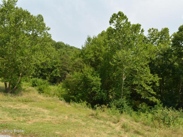 Land for sale in Carrollton, Kentucky
