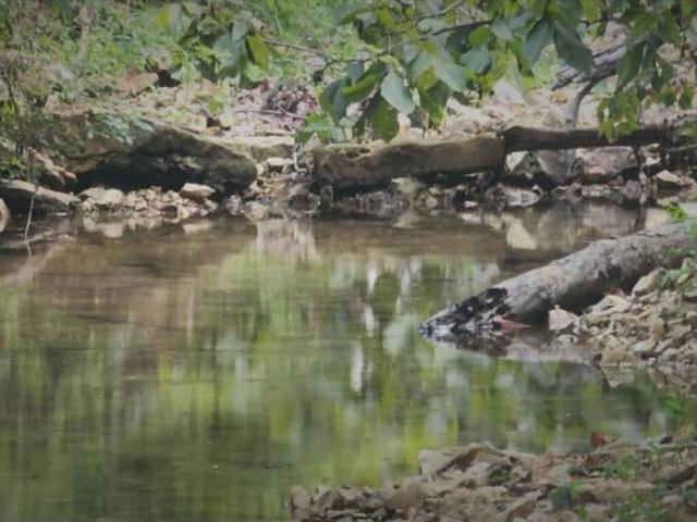Land for sale in Macomb, Missouri