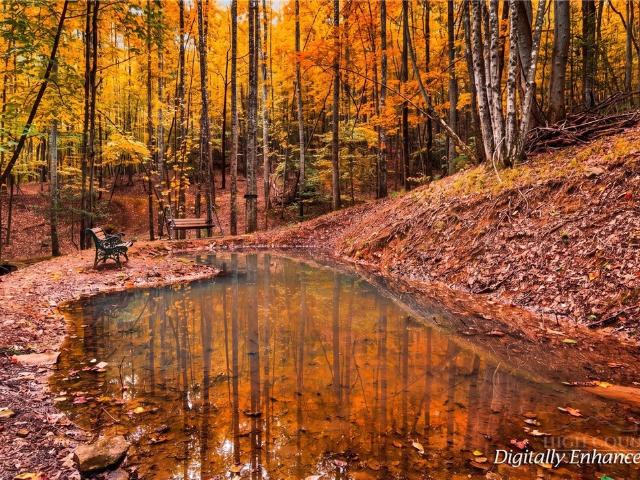 Land for sale in Wilkes County, North Carolina