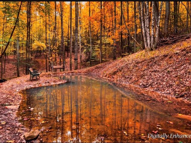 Land for sale in Wilkes County, North Carolina