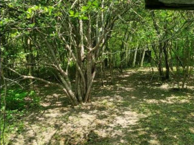 Land for sale in Koylton Township, Tuscola County