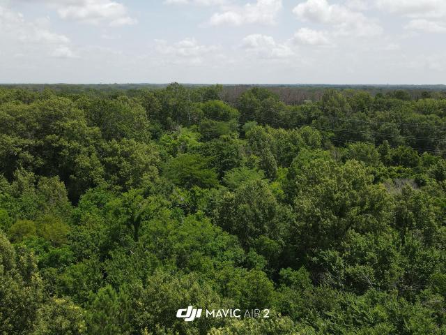 Commercial for sale in Ridgeland