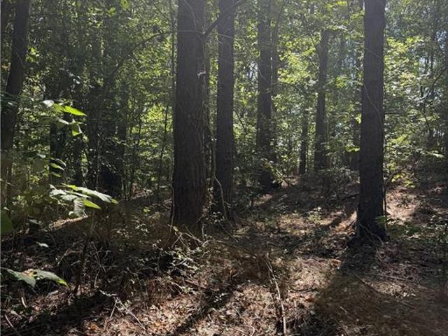 Land for sale in Reidsville, North Carolina