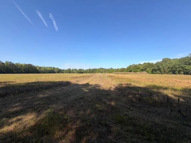 Land for sale in Berkeley County, South Carolina