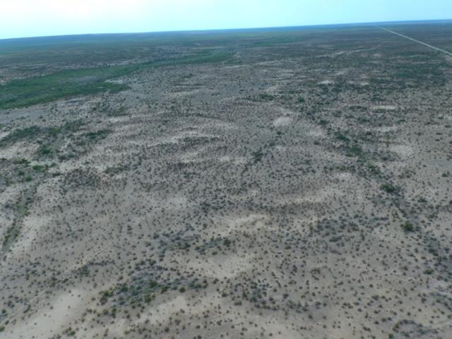 Land for sale in Toyah