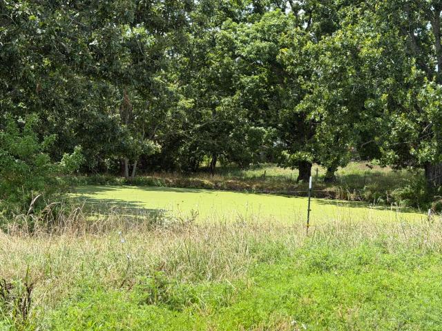 Farm for sale in Ava, Missouri