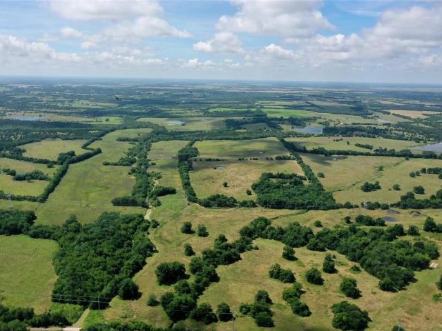 Land for sale in Honey Grove