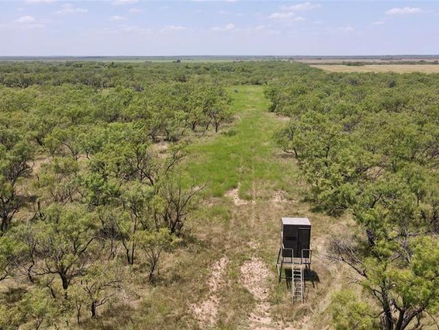 Land for sale in Coleman County, Texas