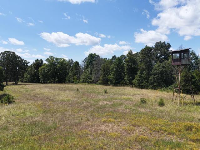 Land for sale in Birch Tree, Missouri