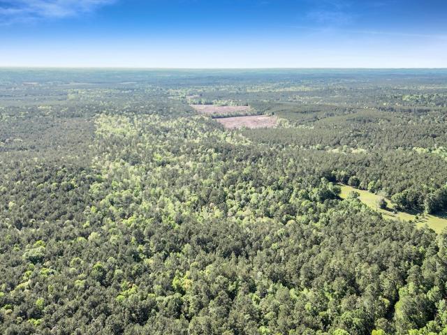 Land for sale in Jasper, Texas