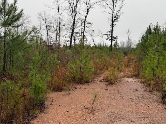 Land for sale in Clanton, Alabama