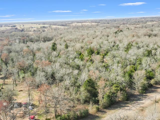 Land for sale in Fairfield, Freestone County