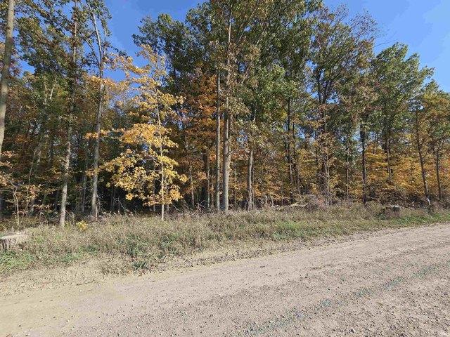 Land for sale in Butler, DeKalb County