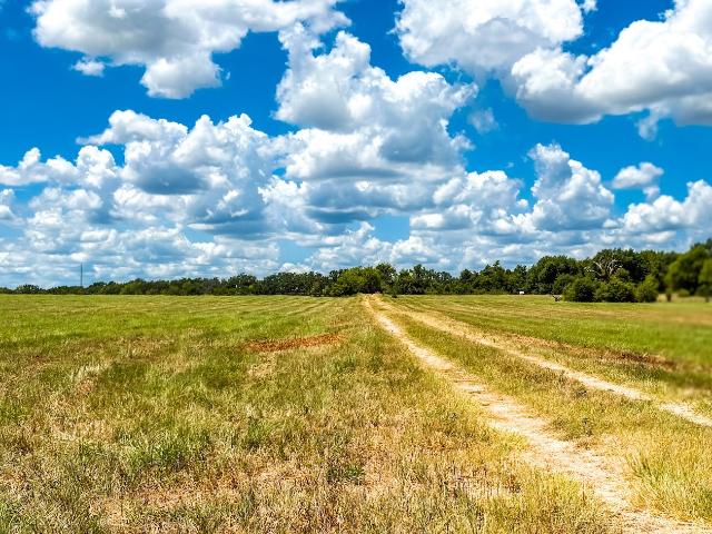 Land for sale in Fairfield, Freestone County