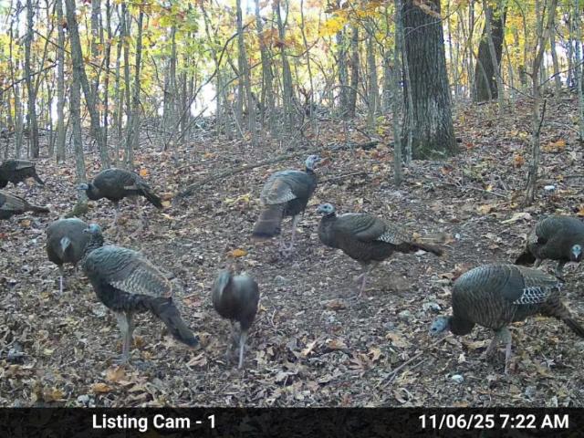 Land for sale in Ark