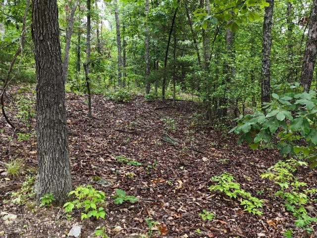 Land for sale in Ava, Missouri