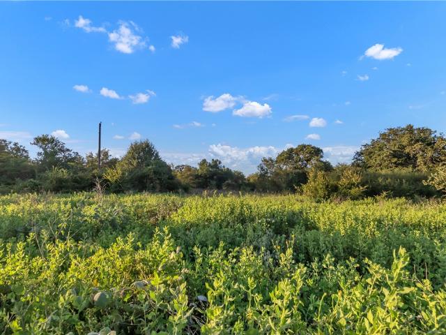 Land for sale in Milam, Texas