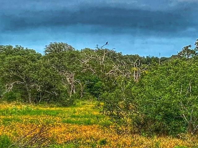 Land for sale in Richland Springs, Texas
