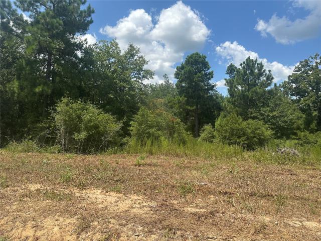 Land for sale in Leon, Texas