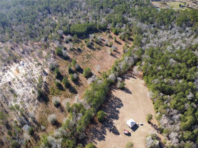 Land for sale in Hillister, Texas