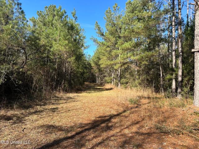Land for sale in Newhebron, Mississippi