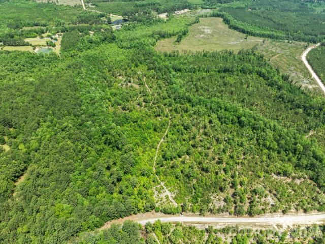 Land for sale in Patrick, South Carolina