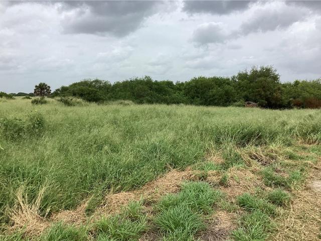 Land for sale in Texas