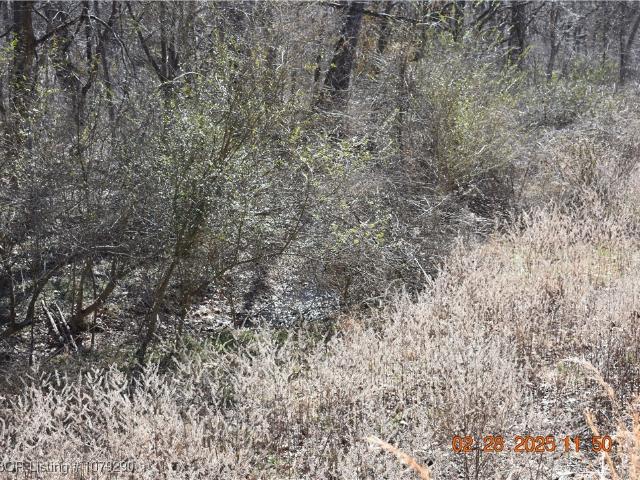 Land for sale in Watts, Oklahoma