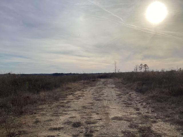 Land for sale in Ark