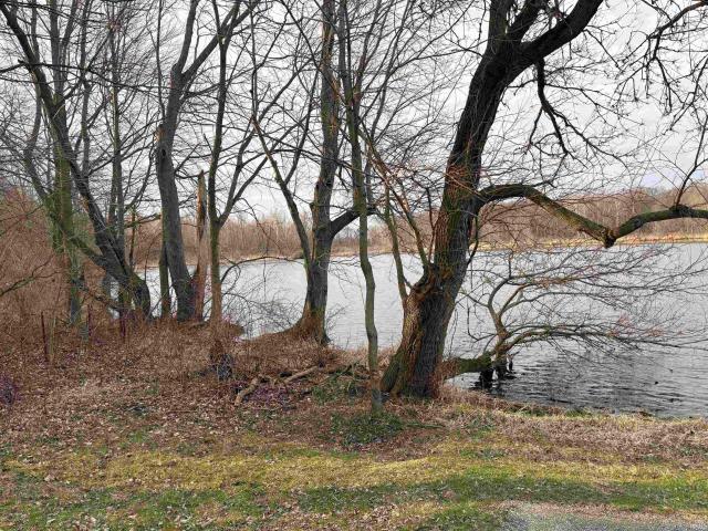 Land for sale in Kendallville, Indiana