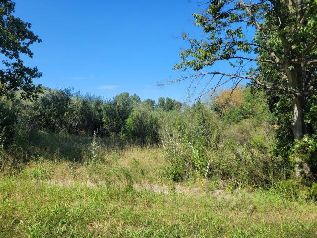 Land for sale in Mount Vernon, Jefferson County