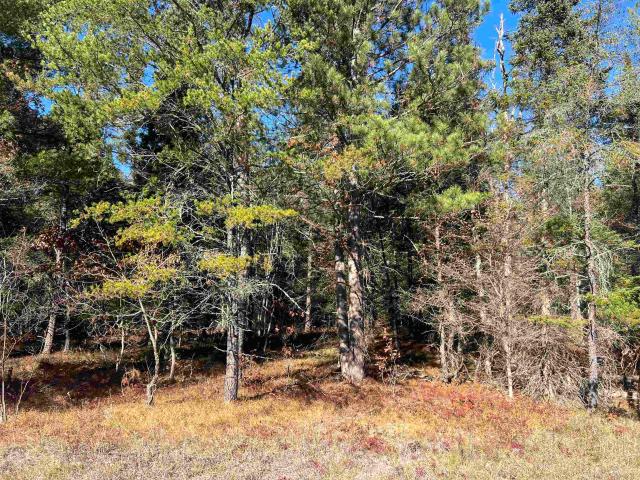 Land for sale in Wildwood, Grayling Charter Township