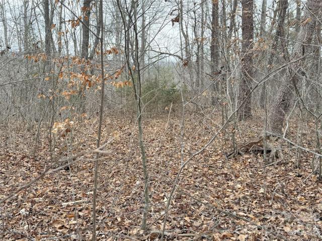 Land for sale in Tryon, North Carolina