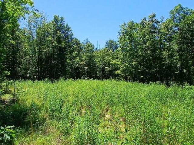 Land for sale in Annapolis, Missouri