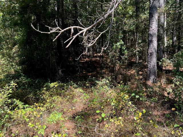 Land for sale in Harrison, Texas