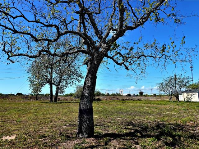 Land for sale in San Patricio, Texas
