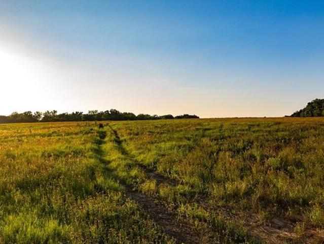 Farm for sale in Milam, Texas