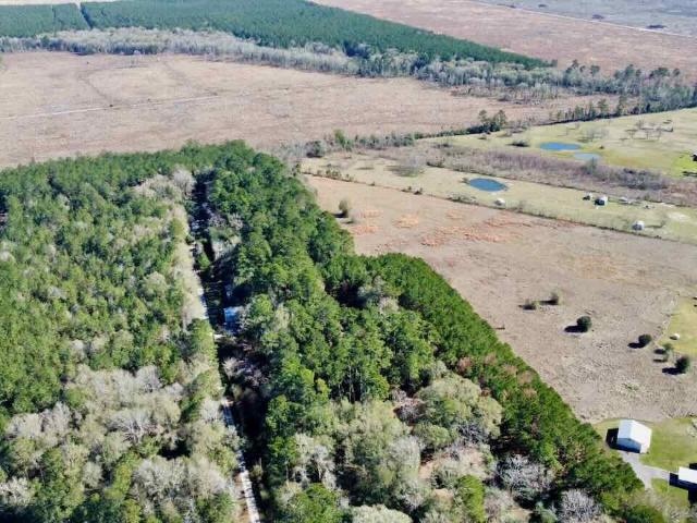 Land for sale in Kountze, Texas