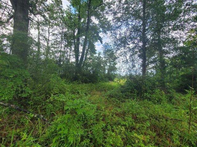 Land for sale in Newton, Texas