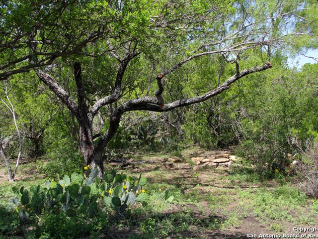 Commercial Land for sale in Castroville