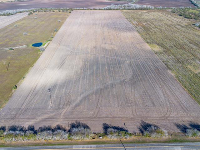 Land for sale in Skidmore, Bee County