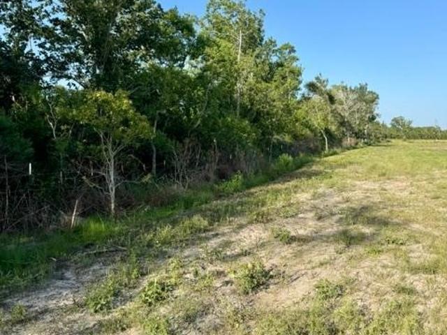 Land for sale in Alvin, Texas