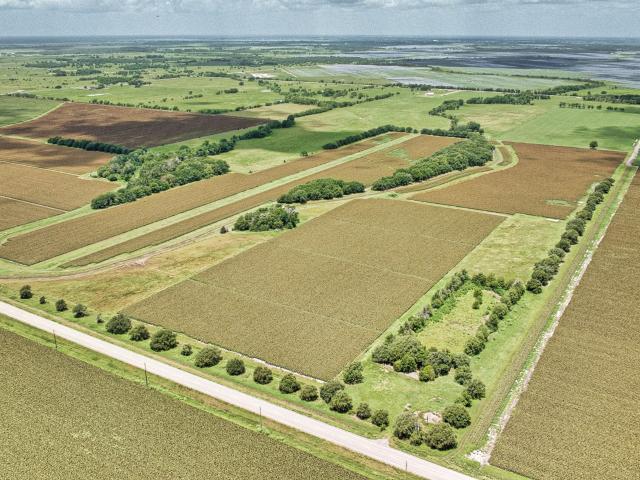 Land for sale in Damon, Texas