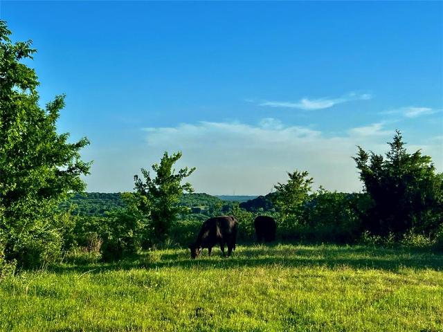 Land for sale in Saint Jo, Texas