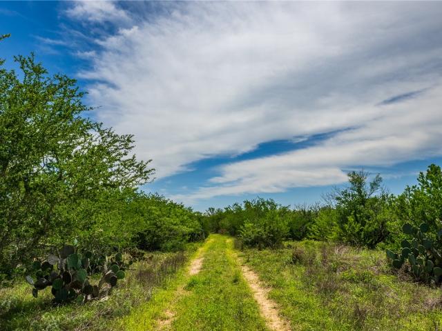 Land for sale in Realitos, Texas
