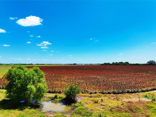 Land for sale in Staples, Texas