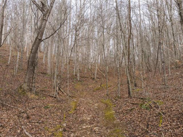Land for sale in Lansing, North Carolina